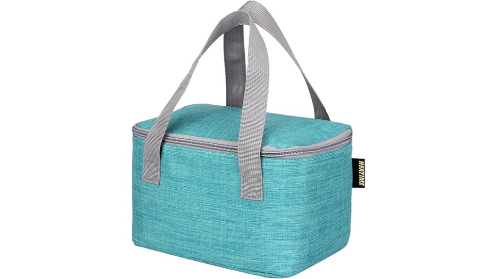 collapsible insulated lunch bag
