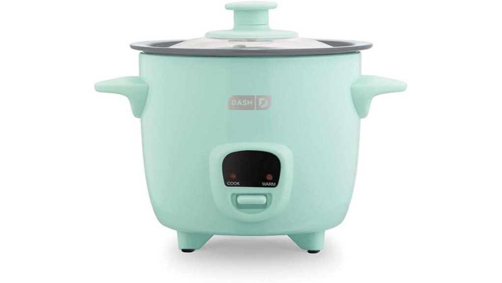 dash mini ceramic cooker