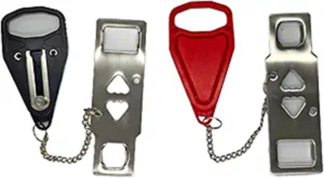 dual portable door locks