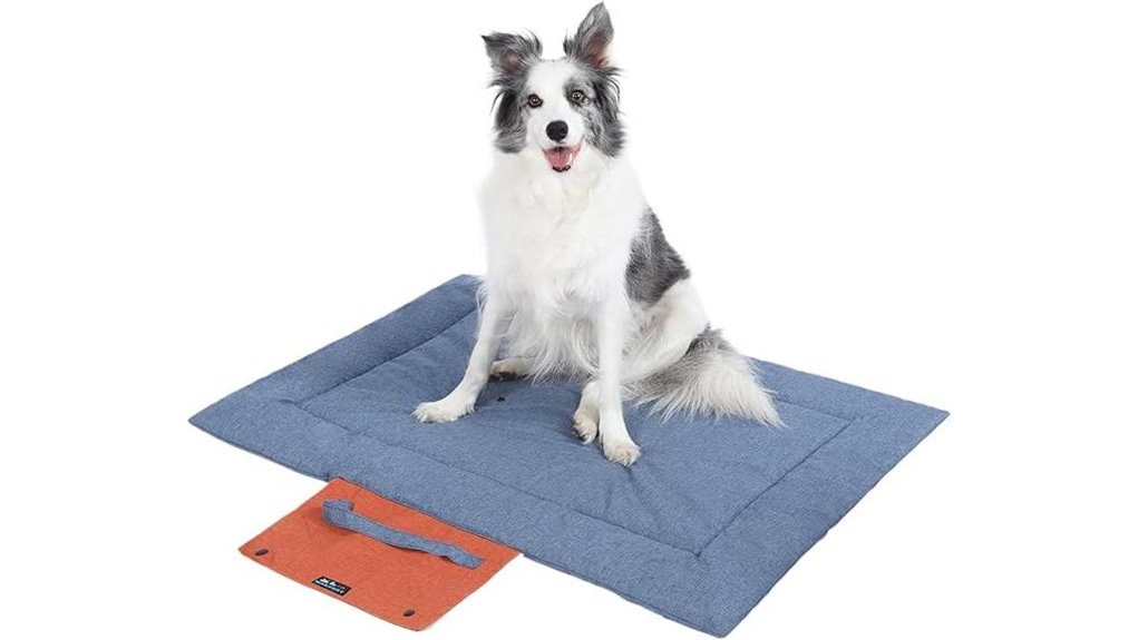 foldable blue dog pad
