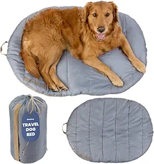 foldable grey water resistant bed