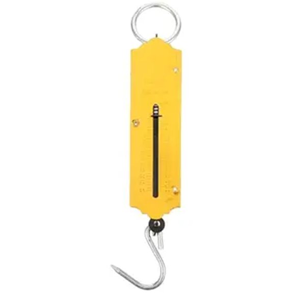hooked portable fish scale