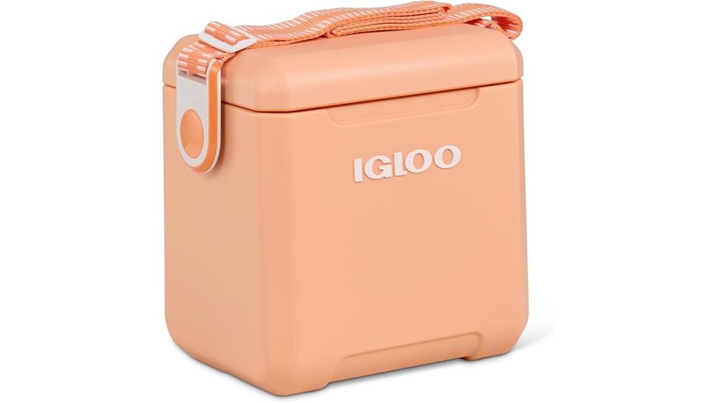 Compact Cooler Totes That Keep Your Picnic Snacks Fresh 9 insulated hard shell cooler