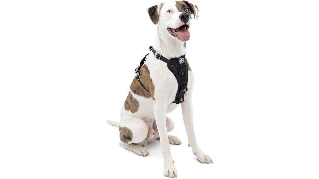 Secure-Fit Pet Seat‑Belt Harnesses for Safe Road Trips 9 kurgo trufit crash tested harness