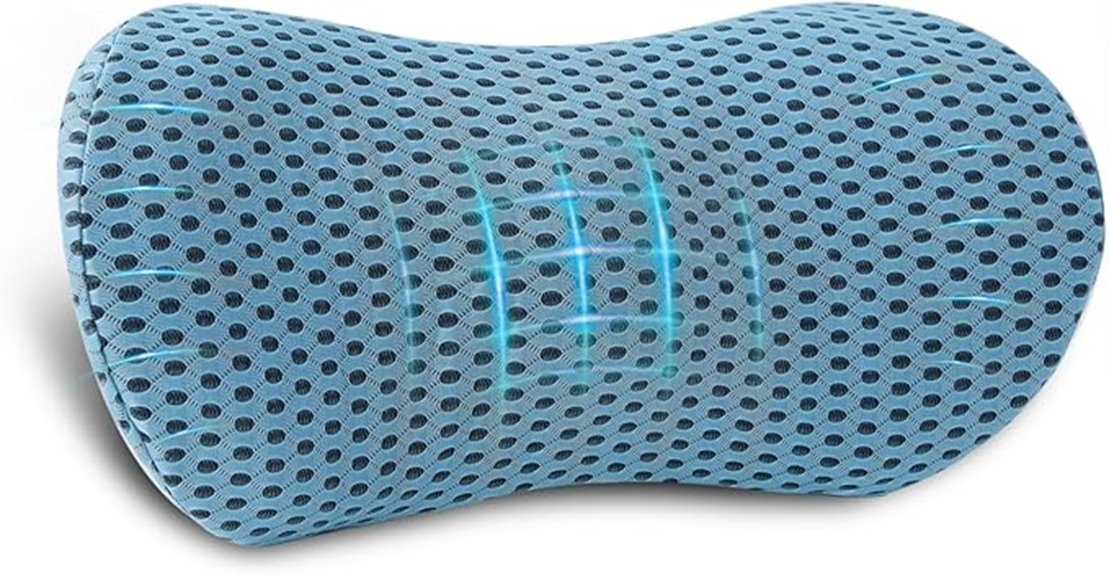 lumbar pillow office car
