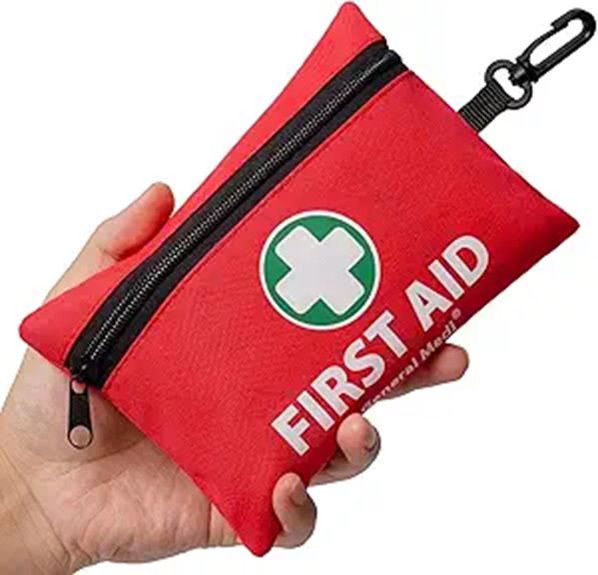 The Mini First-Aid Kits Urban Travelers Must Pack – Real Essentials 14 mini 150 item medi kit