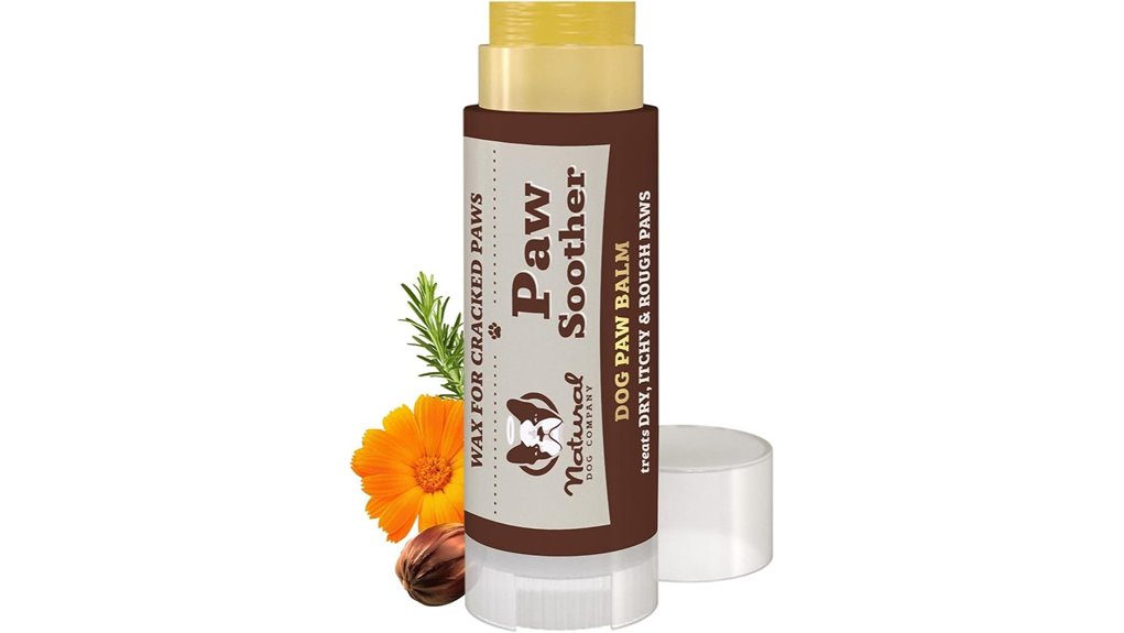 Best Pet Paw Balm Salt Protection for Winter Travelers 9 natural dog paw soother