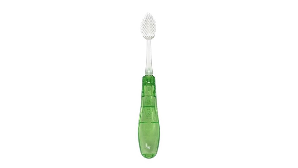 replaceable head travel brush case