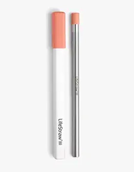 Portable Water Filters for Travelers: Straw vs Bottle 3 reusable stainless steel filter