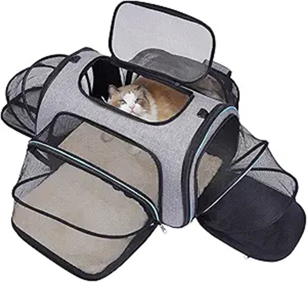 siivton 4 way airline approved carrier