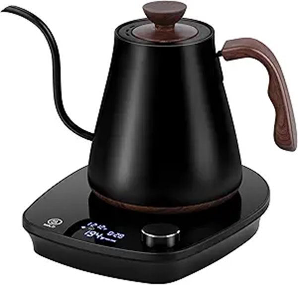 Best Electric Kettle (Temperature Control) for Perfect Brews 11 stainless 0 9l gooseneck electric