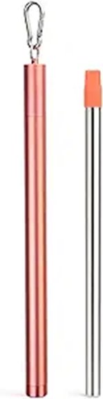 Portable Water Filters for Travelers: Straw vs Bottle 11 sursip stainless steel filter