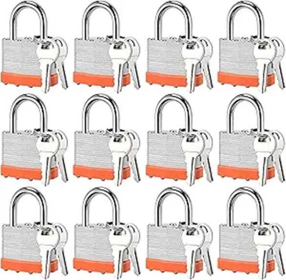 twelve padlocks identical keys