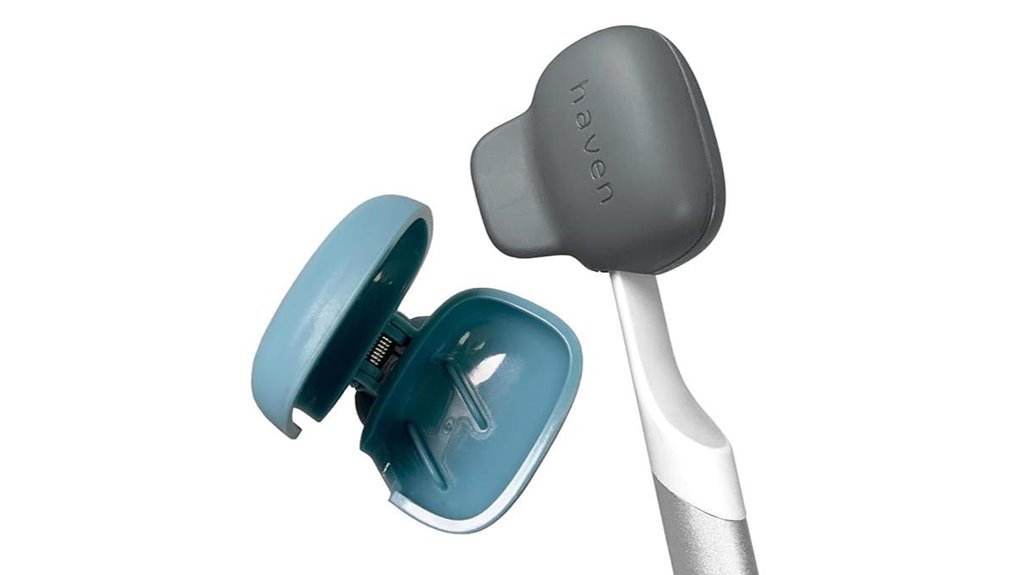 Top Ventilated Toothbrush Cases That Keep Smells at Bay 15 two pack blue charcoal covers