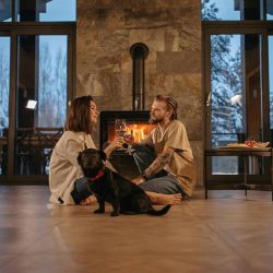 pet friendly cabin rentals available