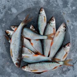 secret ice fishing spots