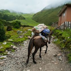 cabins for horse lovers