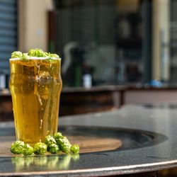 explore local beer scene