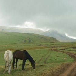 ride horses in solitude