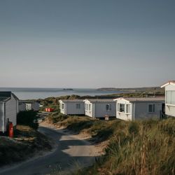 cabins for pets allowed