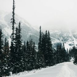 lakes in state parks