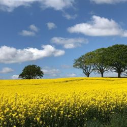 rural getaway planning advice