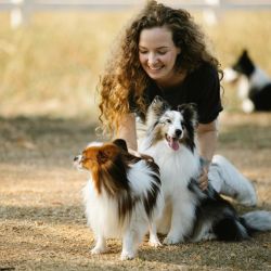 pet friendly vacation rentals