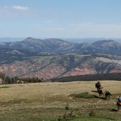 trails in state parks