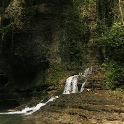 waterfalls for pet lovers