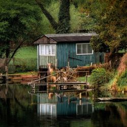 cozy waterfront haven experience